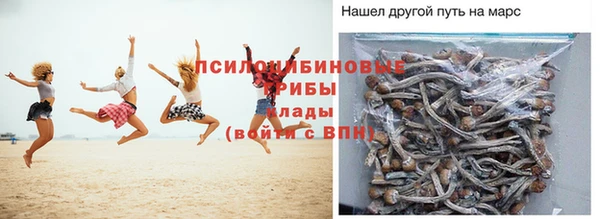 соль ск Абаза