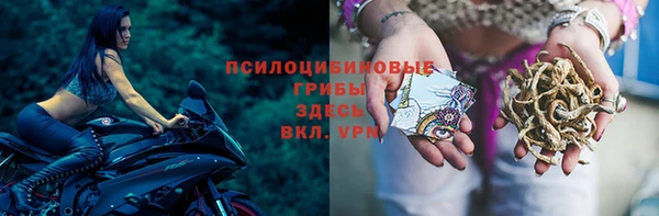 индика Абинск