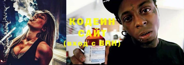 индика Абинск