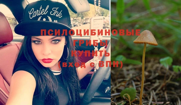 дмт Михайловск