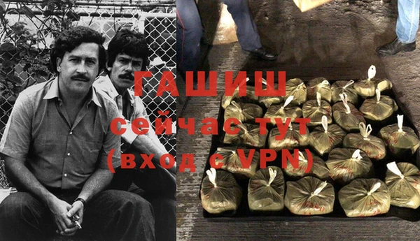 индика Абинск