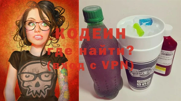 индика Абинск