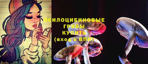 индика Абинск
