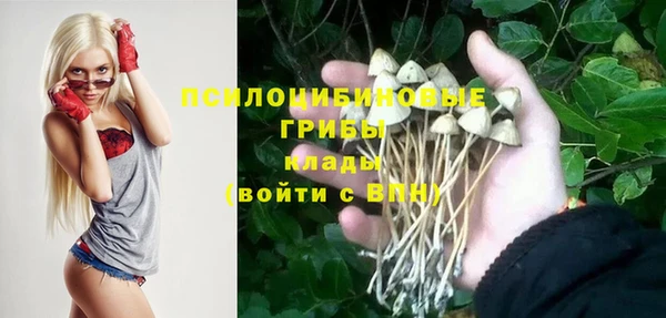 соль ск Абаза