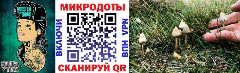 Галлюциногенные грибы Cubensis  ссылка на мегу вход  Красково 